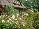 Rosengarten